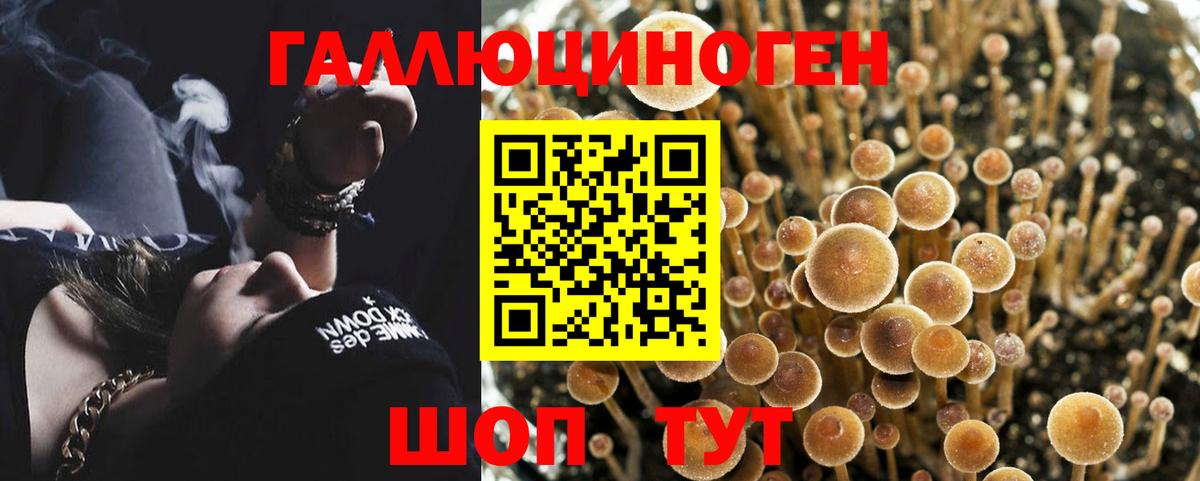 Галлюциногенные грибы MAGIC MUSHROOMS Чусовой